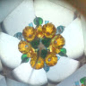 Meet your Posher, Sadie